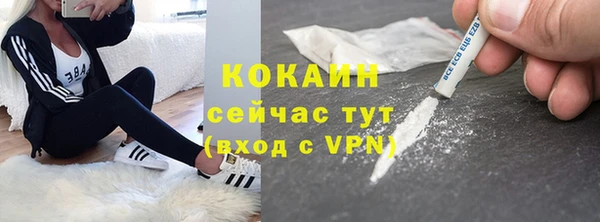 ГАЛЛЮЦИНОГЕННЫЕ ГРИБЫ Тында