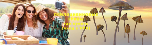 соль курить ск Лабытнанги