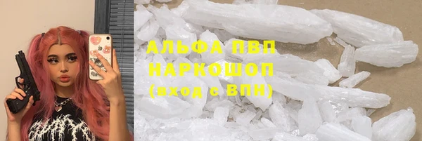 трава Туринск
