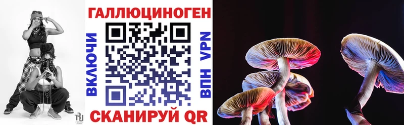 Псилоцибиновые грибы Psilocybe  закладки  Цивильск 